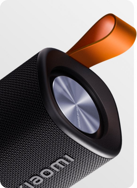 Портативная колонка S29D Xiaomi Sound Outdoor 30W (черный) QBH4261GL