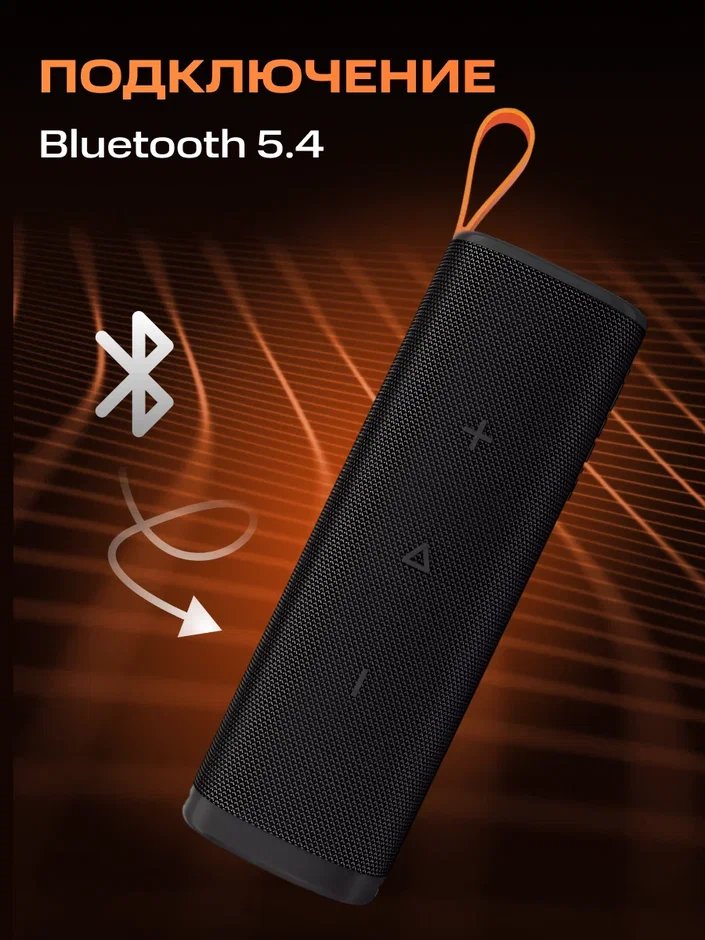 Портативная колонка S29D Xiaomi Sound Outdoor 30W (черный) QBH4261GL
