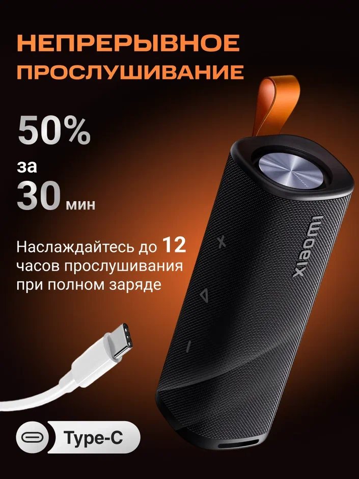 Портативная колонка S29D Xiaomi Sound Outdoor 30W (черный) QBH4261GL