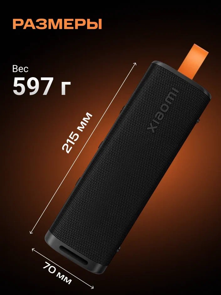 Портативная колонка S29D Xiaomi Sound Outdoor 30W (черный) QBH4261GL