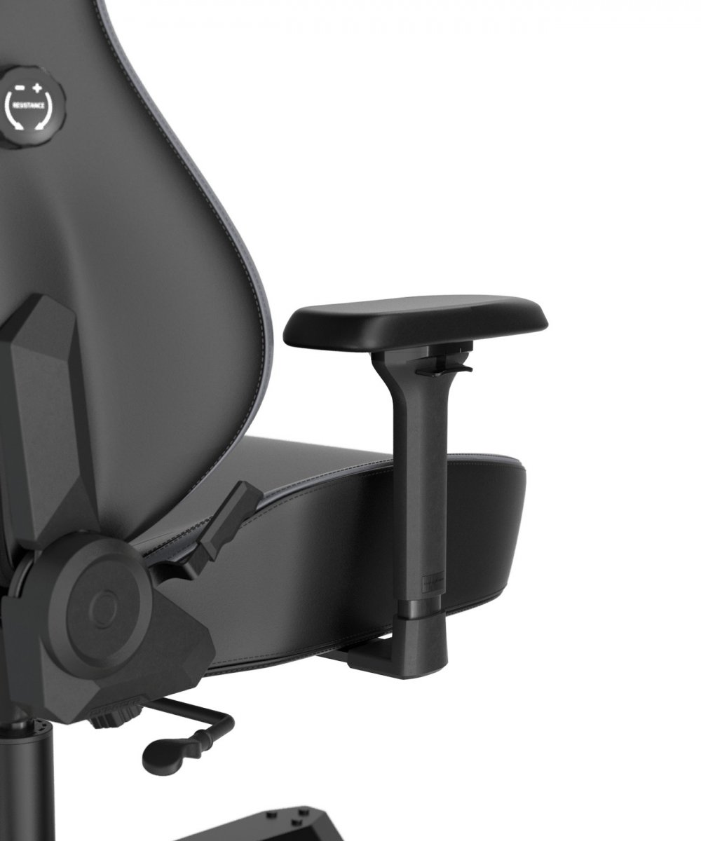 Компьютерное кресло DXRacer OH/XXLTM23/NG