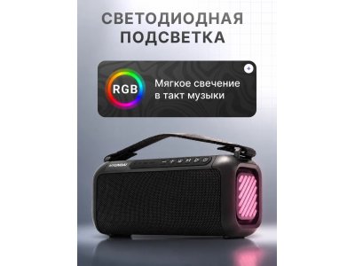 Колонка портативная Hyundai H-PS1007 - изображение 2